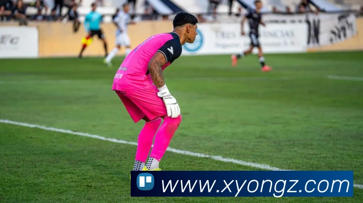 奖项证书